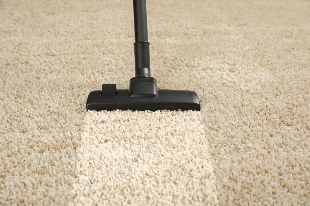 Top 5 Reasons Boca Raton Residents Should Schedule Regular Carpet Cleaning