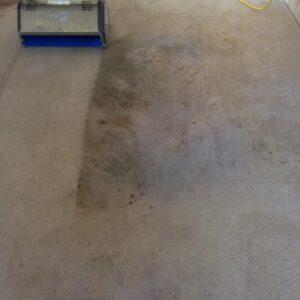Work Pictures (19)